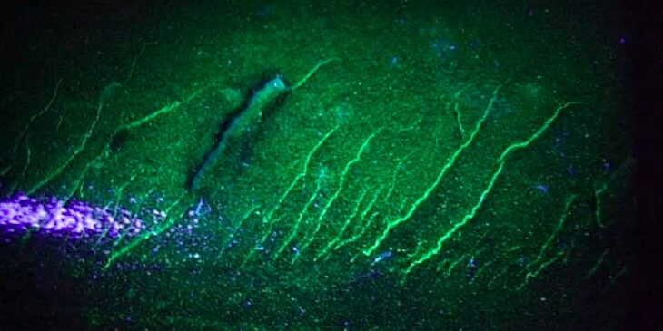 fluorescent penetrant testing