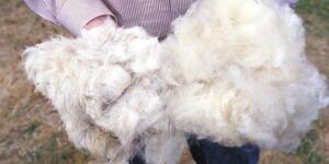 optical brightener for protein fiber